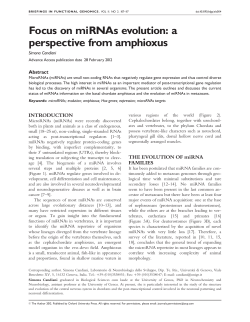Focus on miRNAs evolution - Briefings in Functional Genomics