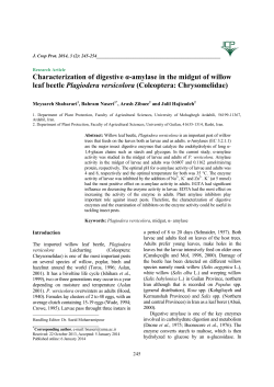 Characterization of digestive &alpha;-amylase in the midgut of willow leaf