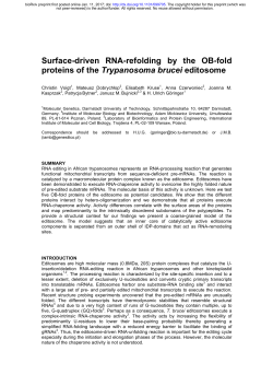 Surface-driven RNA-refolding by the OB-fold proteins of