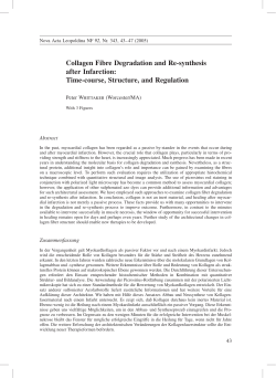 Collagen Fibre Degradation and Re-synthesis after
