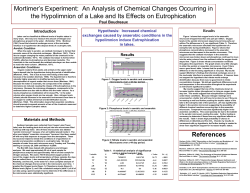 Mortimer`s Experiment: An Analysis of Chemical Changes