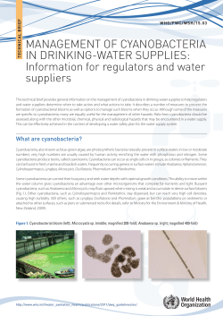 Management of Cyanobacteria in Drinking