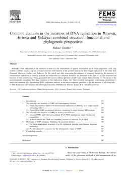 Common domains in the initiators of DNA replication in Bacteria