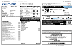 Window Sticker - Tuttle