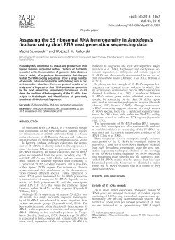 Assessing the 5S ribosomal RNA heterogeneity in Arabidopsis