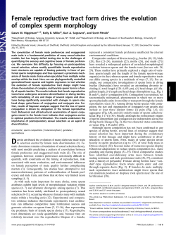 Female reproductive tract form drives the evolution of complex