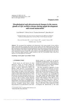 Morphological and ultrastructural changes in the mucus glands of