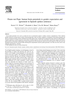 Potato not Pope: human brain potentials to gender