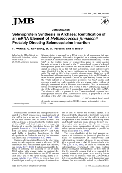 Communication: Selenoprotein Synthesis in Archaea: Identification