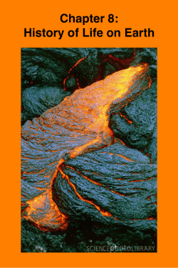 Biology - Chapter 8
