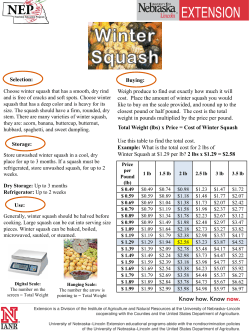 Selection: Total Weight (lbs) x Price = Cost of Winter Squash Use