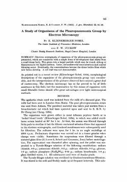A Study of Organisms of the Pleuropneumonia Group by Electron