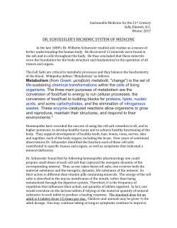 DR. SCHUESSLER`S BICHEMIC SYSTEM OF MEDICINE