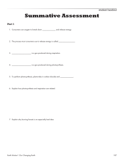 Earth Cycles Summative Assessment and Answer Sheet