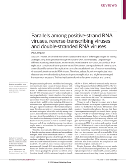 Parallels among positive-strand RNA viruses, reverse