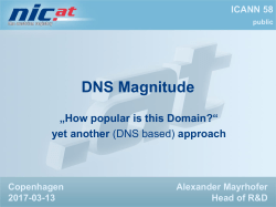 DNS Magnitude - ccNSO