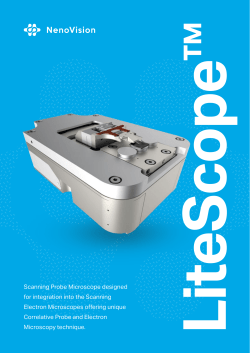 Scanning Probe Microscope designed for integration into the