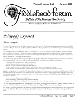 Polypods Exposed - American Fern Society
