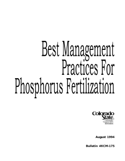 Best Management Practices for Phosphorus Fertilization