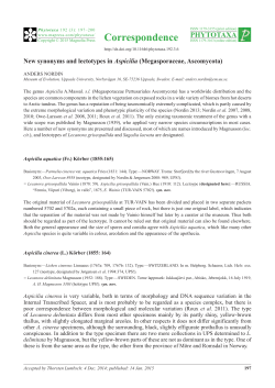 New synonyms and lectotypes in Aspicilia (Megasporaceae