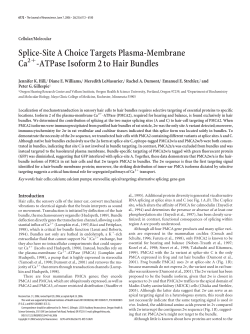 Splice-Site A Choice Targets Plasma-Membrane Ca