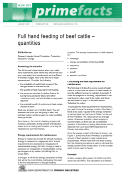 Full hand feeding of beef cattle &ndash; quantities