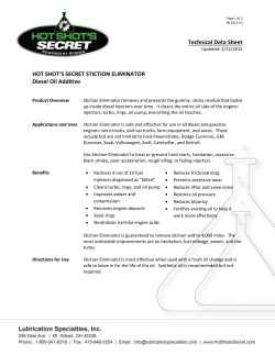 Technical Data Sheet HOT SHOT`S SECRET STICTION ELIMINATOR