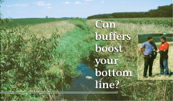 Can Buffers Boost Your Bottom Line?