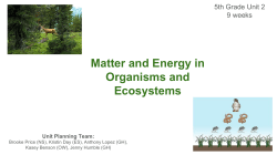 Matter and Energy in Organisms and Ecosystems