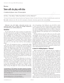 Stem cells do play with dice