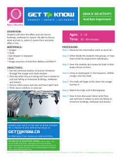 Acid Rain Experiment