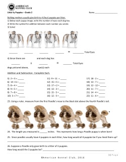 Litter-ly - American Kennel Club