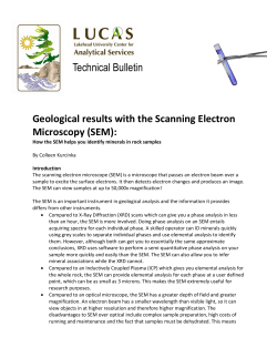 Scanning Electron Microscope