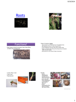 Roots with photos - Missouri State University