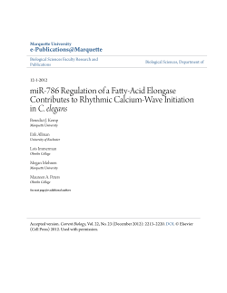 miR-786 Regulation of a Fatty-Acid Elongase Contributes to