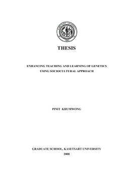 THESIS