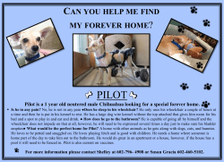 CAN YOU HELP ME FIND MY FOREVER HOME