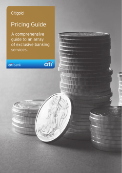 Pricing Guide - Citibank Singapore