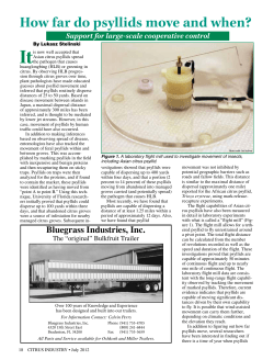 How far do psyllids move and when?