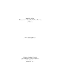 African American Studies and History