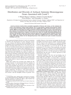 Distribution and Diversity of Archaeal Ammonia Monooxygenase