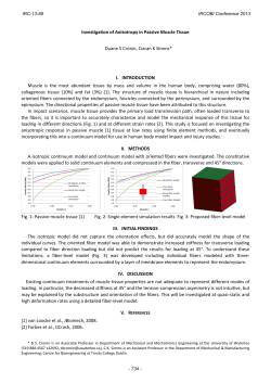 Investigation of Anisotropy in Passive Muscle Tissue