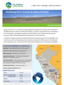 PLU Fact Sheet - Plateau Uranium