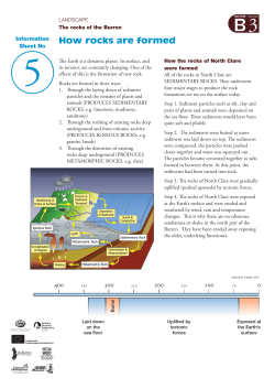 Information Sheet B3