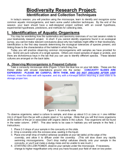 Collection and Identification Techniques