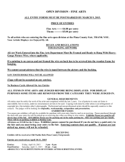 open division - fine arts