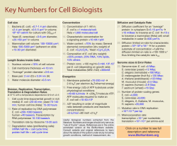 BioNumbers