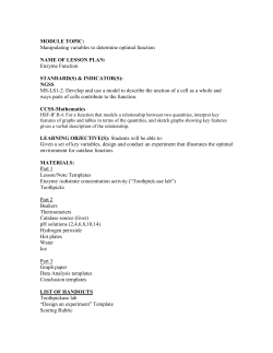 Enzyme Function - New Jersey Institute of Technology