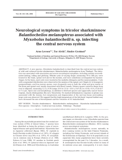 Neurological symptoms in tricolor sharkminnow Balantiocheilos