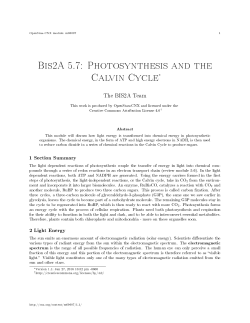 Bis2A 5.7: Photosynthesis and the Calvin Cycle